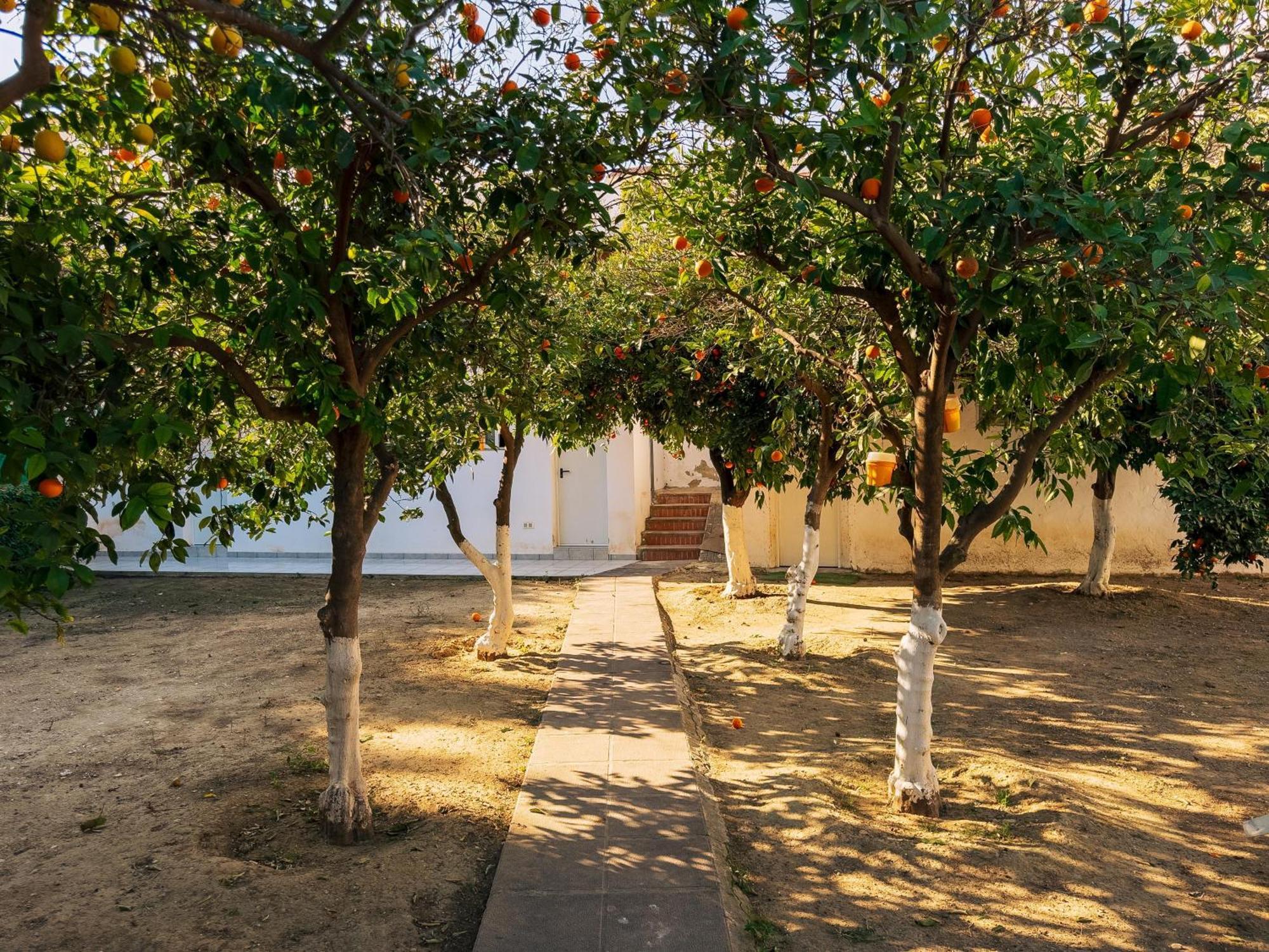 Charming Country House Torremolinos Exteriör bild