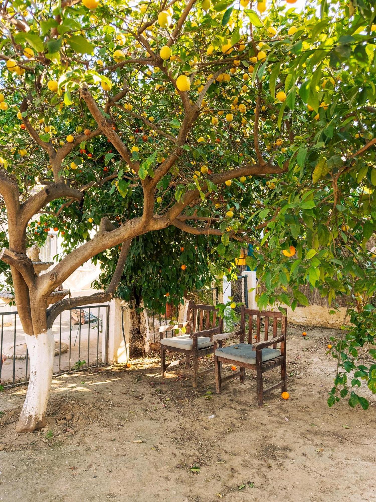 Charming Country House Torremolinos Exteriör bild